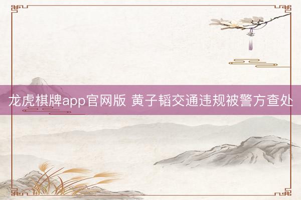 龙虎棋牌app官网版 黄子韬交通违规被警方查处